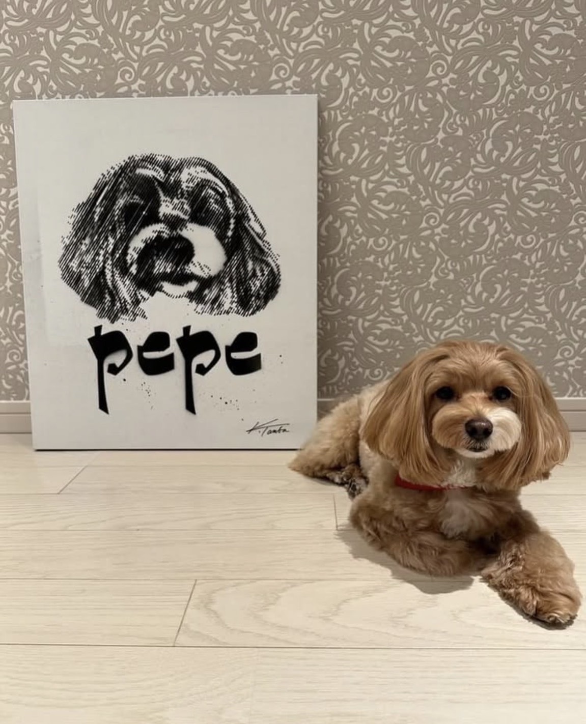 Pepe - ペットポートレート